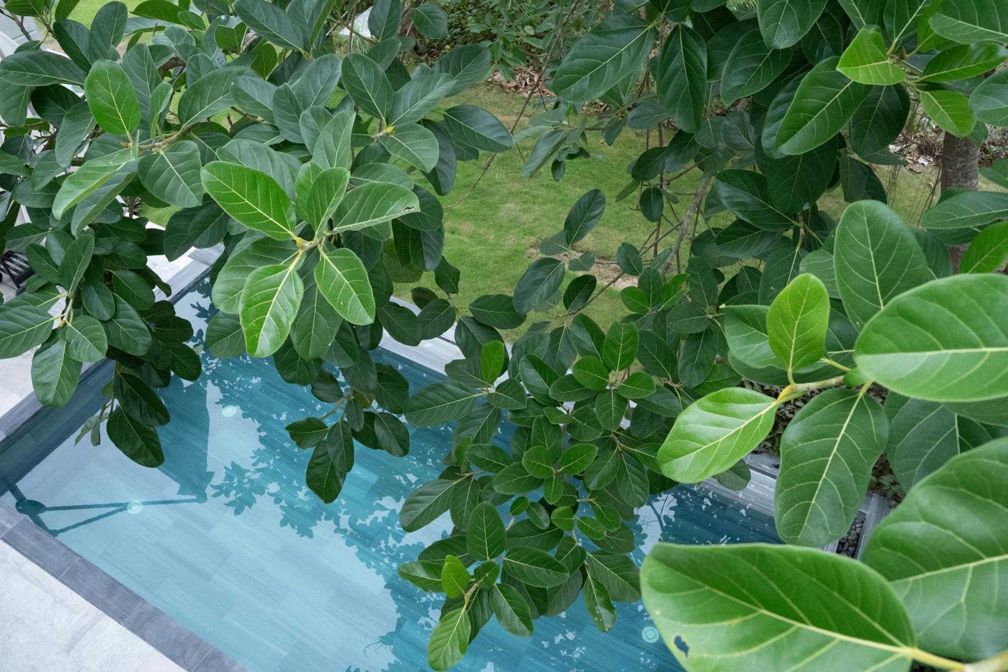 "Brg Golf Club" - Danang Private Pool Villa 3 Bedrooms #1 Bagian luar foto